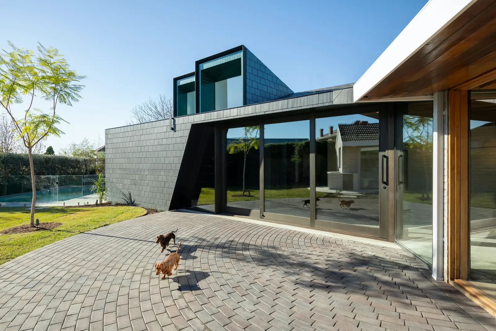 Villa contemporaine à toiture-terrasse avec grandes baies vitrées et allée pavée